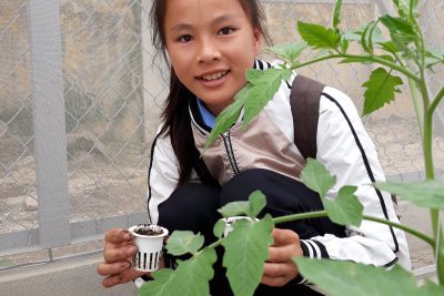 MỘT SỐ HÌNH ẢNH HOẠT ĐỘNG CỦA VƯỜN RAU TRẢI NGHIỆM